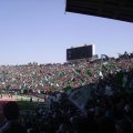 Botola